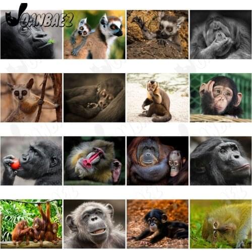 Funny Animal Diamond Painting 5D Diy Cute Orangutan Mosaic Painting Cross Stitch Sticker Diamond Embroidery Gift Decoration