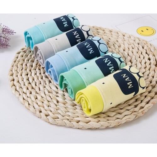 10Pieces / Lot Boys Briefs Gifts Underpants Childrens Underwear Boy Briefs Baby Cotton Cartoon
