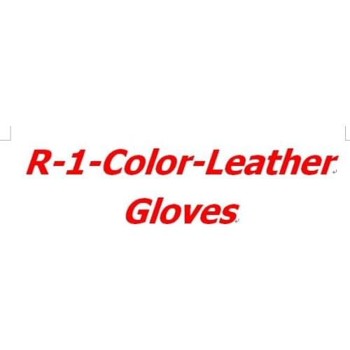 R-1-Color-Leather Gloves Cycling Gloves Moto Glove ALL SAME As RE