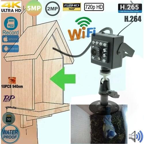 Camhi Onvif 2MP 5MP HD SD Card Audio Video 940nm IR Night Vision Wifi Wireless Hidden IP Bird Nest Camera With Double Bracket