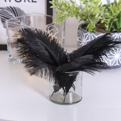 10pcs/lot Elegant Fluffy Ostrich Feather Festival Party Family Room Diy Jewelry Natural Plumes Feather Home Decor or Girls Gifts