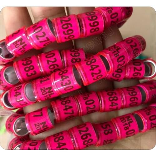 2021 red Pigeon rings NL Bird ring