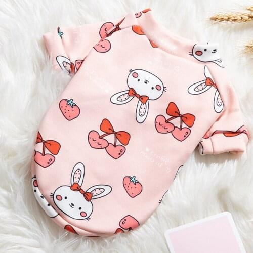 HOKERBAT New Cartoon Pet Clothes Two-legged Sweater Milk Velvet Dog Cat Cat Thermal Hetwear