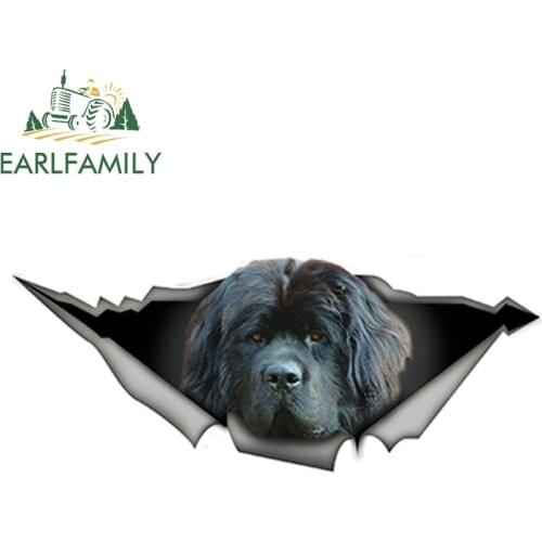 EARLFAMILY 15cm x 6cm Funny Newfoundland 3D Car Sticker Dewfie Pet Dog Decal Waterproof Car Styling Car Stickers Decoration