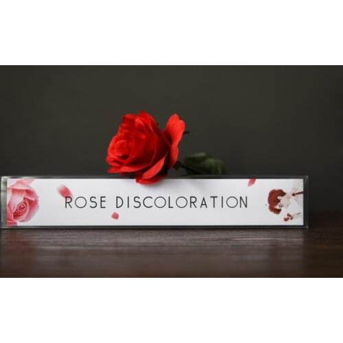 Roses Discoloration (Gimmick Rose and Instruction) Magic Tricks Fun Stage Magia Change Color Roses Flowers Gimmick Props Wedding