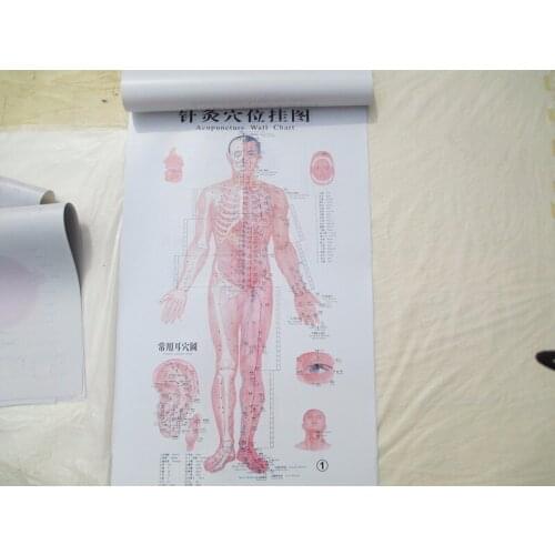 7pcs 50*80cm Acupuncture wall chart 3 male map 3 female map and one ear acupoint chart Chinese-English acupuncture map free ship