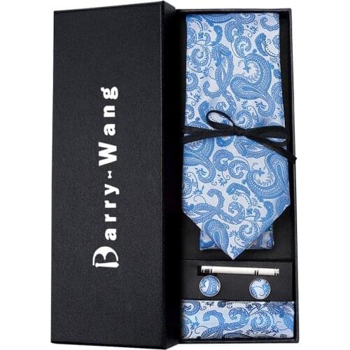 TS-1618 Barry.Wang 2018 Mens Ties Necktie Hanky Cufflinks Set With Gift Skyblue Paisley Ties For Men Wedding Business Party