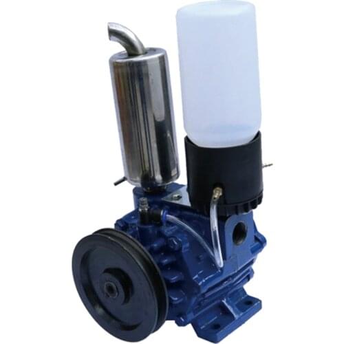 250L Special Vacuum Pump for milking machine