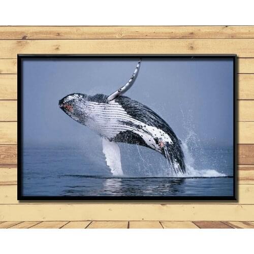 Humpback Whale Ferocious Giant Marine Animal (22) Wall Posters Prints Silk Art Painting For Home Wall Bedroom Decor