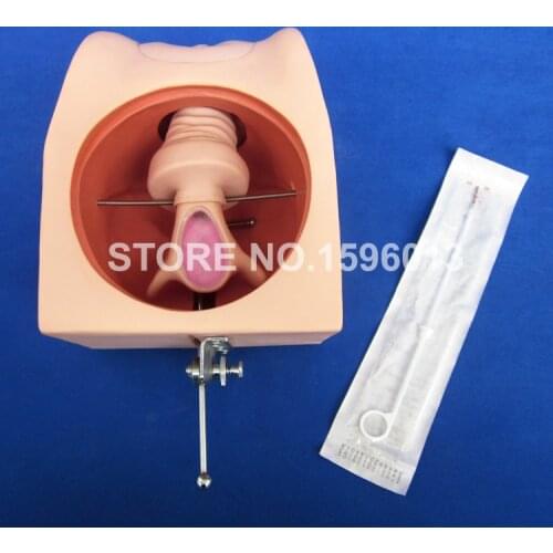 Female Contraception Simulator,Birth Control Model, Family Planning IUD Model