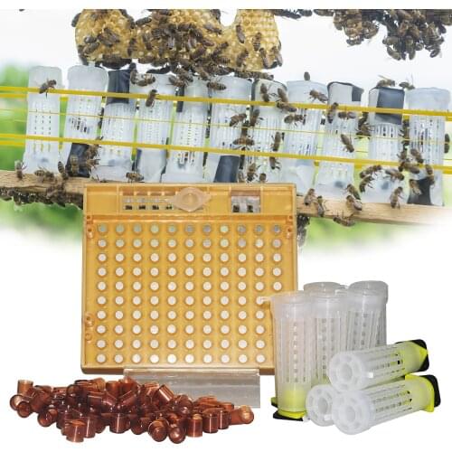 Nicot Bee Queen Rearing Kit Goods Tools For Beekeeper Supplies