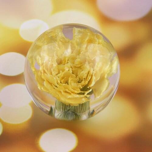 Natural Yellow Carnation Crystal Glass Resin Lens Ball Plants Flower Specimen Christmas Love Mom Gift With Box Home Decor Globe