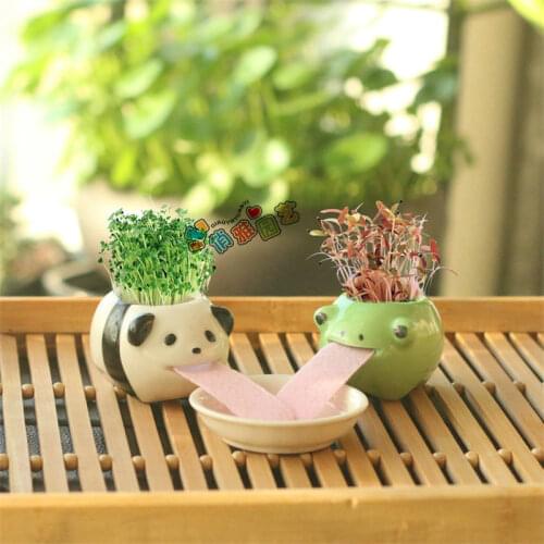 Drink Off Creative Cute Cartoon Panda Frog Animal Ceramic Tabletop Ornament Planting Potted Toys Custom Gifts