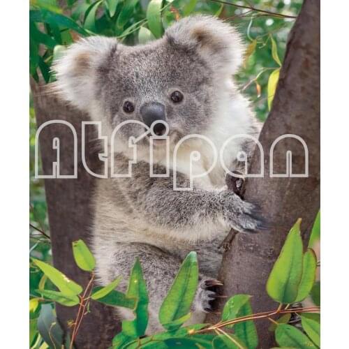 5d Full SquareRound Diamond Embroidery Cute Koala on The Tree Diamond Painting Cross Stitch Diy Diamond Painting Hobi Mosaic