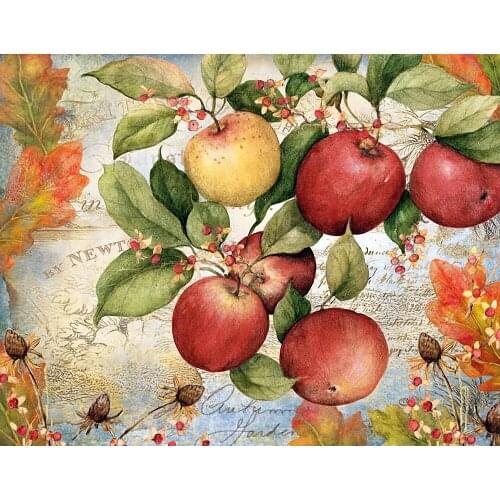 Jmine Div 5D Apple Full Diamond Painting cross stitch kits art High Quality Plant 3D paint by diamonds