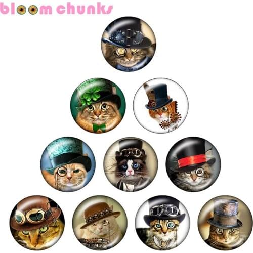 Cat 10pcs mixed 12mm/18mm/20mm/25mm Round photo glass cabochon demo flat back Making findings S1802