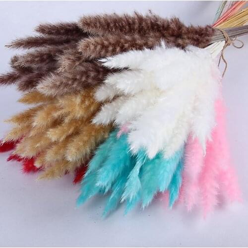 15/30Pcs/lot Natural Dried Flowers Lagurus Ovatus color Rabbit Tail Grass Bunch Real Flower Bouquet for Home Wedding Decoration