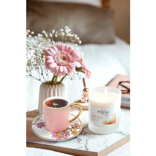 The Mia Tea Pairs