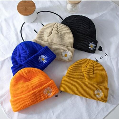 2020 Unisex Knitted Hat Womens Woolen Cap Men Beanies Daisy Bellis Embroidered Autumn Winter Warm Toque Hami Melon Peel Hats