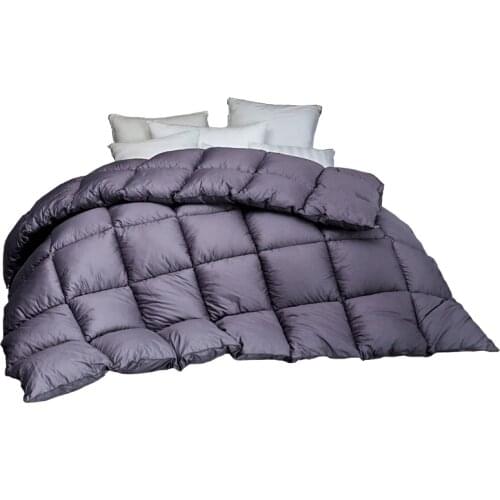 Quilt winter quilt quilt space was double by core summer single spring autumn four seasons bedding student dormitory air