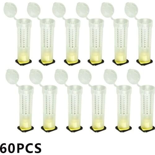 60PCS Queen Bee Cages Plastic Protective Cover Cage Cell Box Cup Rearing Bees King Tools Beekeeper Beekeeping