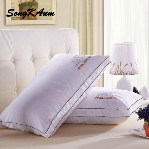 SongKAum New High Quality Pillow Slow Rebound Feather Velvet Material Filling Massage For Neck Sleeping Pillow Home Use ZT004