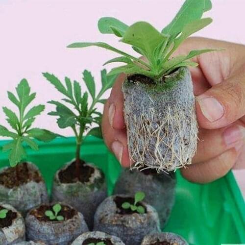 LBER 120Pcs 30mm Peat Pellet Soil Plant Starters Plugs Pallet Seedling Soil Block, Seed Fertilizer Nutrient Block for Flowers