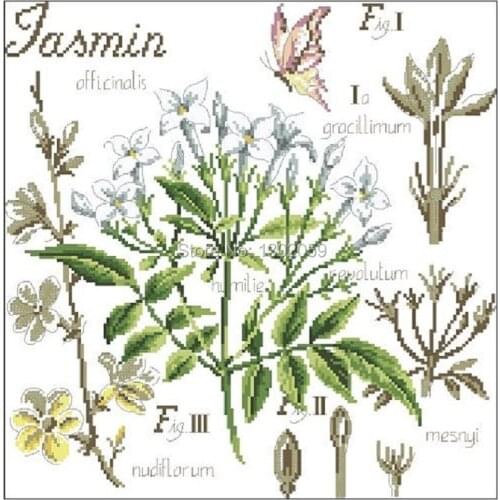 Shadow Series Jasmine Flower Needlework Embroidery Cross Stitch Kit Factory Sale 18CT/16CT/14CT/11CT/9CT