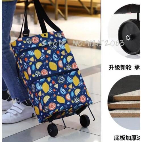 Grocery Shopping Cart, Small Cart, Light Shopping, Trolley Cart, Trailer, Folding, Portable, Household Old People Shopping Artif