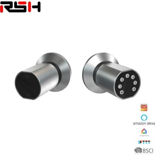 Factory direct sales WIFI smart door lock glass wooden door anti-theft lock electronic password home APP remote unlocking