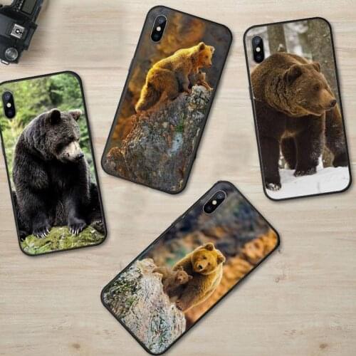 Lonely Alaska Brown Bear luxury protective Phone Case shell for iPhone 11 12 pro XS MAX 8 7 6 6S Plus X 5S SE 2020 XR