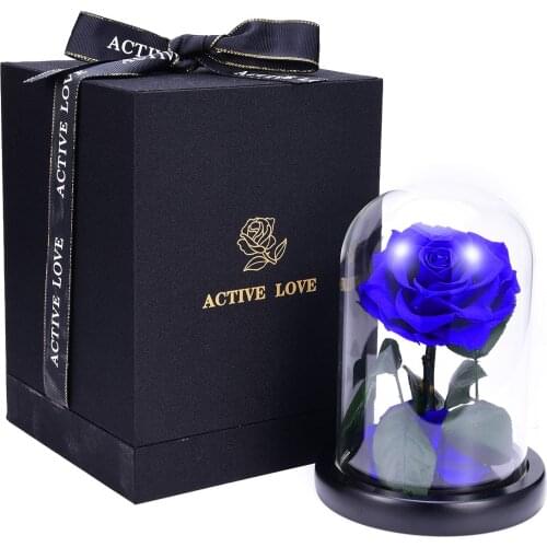 Preserved Rose with Glass Dome Flower Head Rose Eternal Rose Real Glass Dome Anniversary Gift Valentines Day with Packaging D30