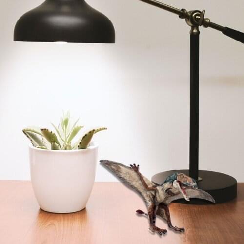 R7RC Realistic Dinosaur Figure Flying Pterosauria Model Figurine Collection Scientific Art Plastic Toys Gift Toys Collector