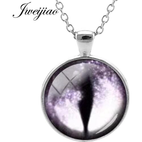 JWEIJIAO New Evil Eyes Pendant Necklaces Anmail Dragon Eyes Glass Cabochon Long Chain Necklace For Friend Gift EY46