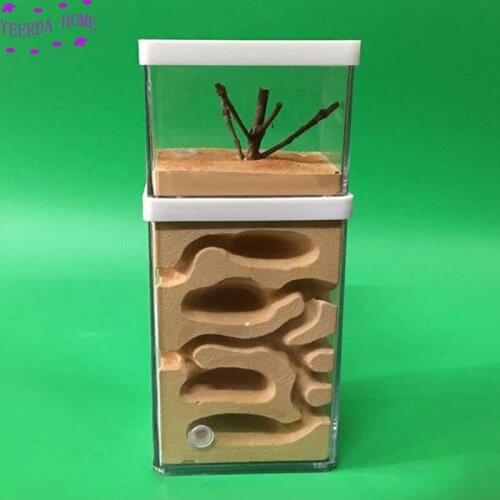 2019 Easy Diy Ant Farm with feeding area Ants Castle Pet Cages insect house Workshop Insect Landscaping Housing workshop