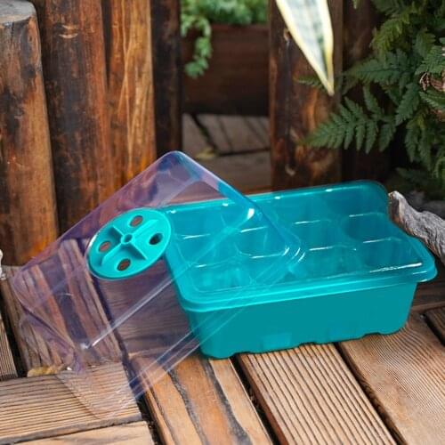 Nursery Pot Seedling Tray Seeding Box Growth Process Adjust Temperature Succulents Indoor Transparent Lid With Breathable Holes