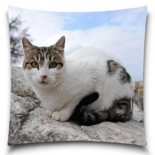 Cute Cat Simple Modern Throw Pillow Case Home Office Decal /Home Textile Gift Pillow Cover 5 size 9 style