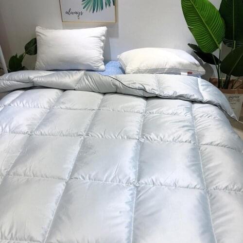 The Quilt Core Down quilt Down Duvet Core Washable Exquisite Fluffy Thick Winter Bedding Warm Feather Quilt Duvet Core for Home