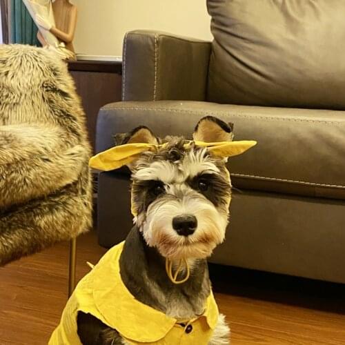 Lovely Pet Dog Dress for Small Medium Dogs French Bulldog Skirt with Headband Striped Plaid Dog Costume PDC0082