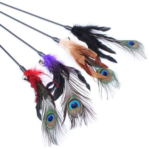 Pet Cat Toy Colorful Feather Rod Teaser Wand Kitten Pet Teaser Peacock Feather Interactive Fun Toy Wire Chaser Wand For Cat
