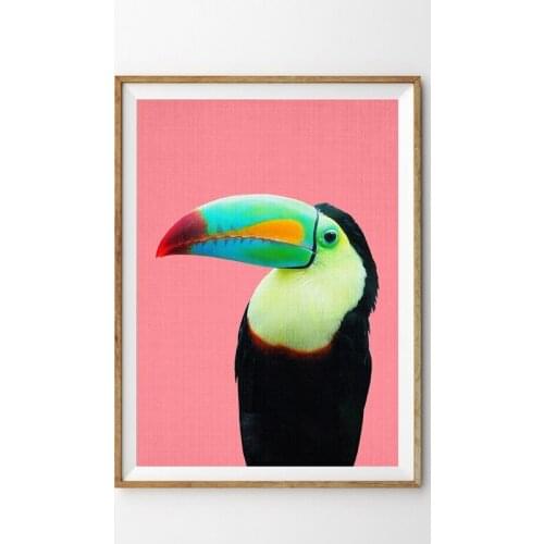 Toucan Bird Canvas Prints Modern Photography Bright Colourful Large Poster Art Painting Tropical Parrot Picture Kids Room Decor