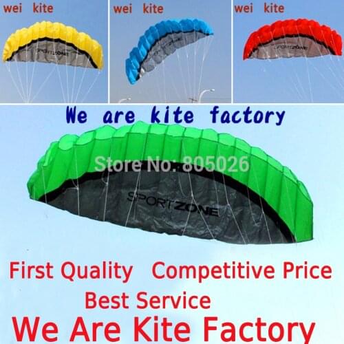 Free shipping 2.5m dual Line Stunt power Kite soft kite Parafoil kite surf flying outdoor fun sports kiteboard