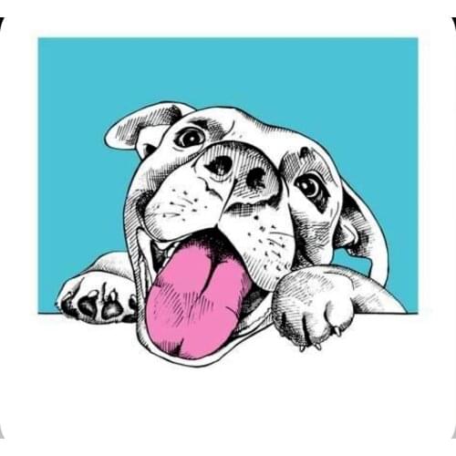 Animal Head Stamp And Metal Die Scrapbooking Alphabet Embossing Craft Silicone Transparent