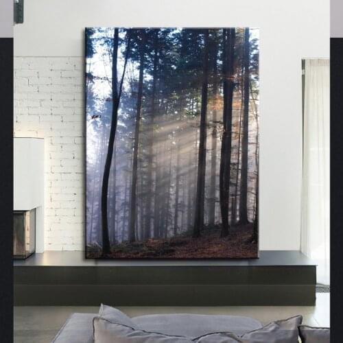 Sun Rays in Misty Winter Morning Scene Poster Wall Art Canvas Painting Prints Pictures Living Room Office Home Decor