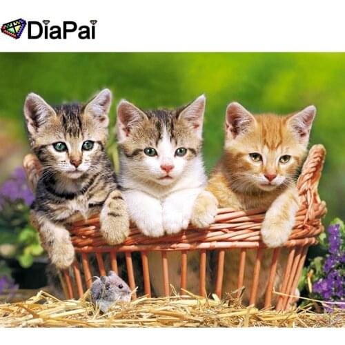 DIAPAI 100% Full Square/Round Drill 5D DIY Diamond Painting "Animal cat basket" Diamond Embroidery Cross Stitch 3D Decor A20824