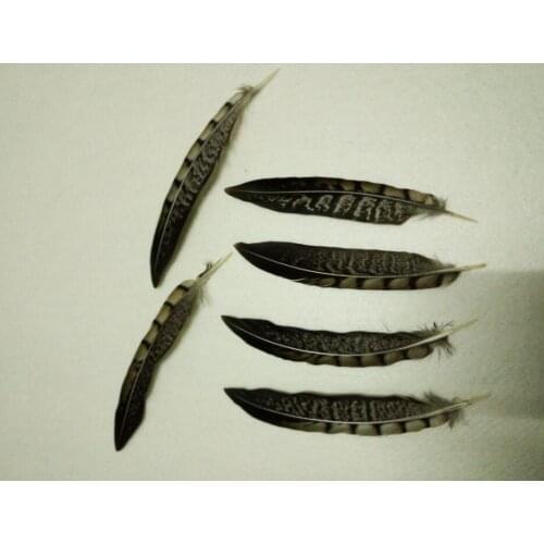 Wholesale 50 / lot 4-6"/10-15cm Natural pheasant feather, DIY jewelry decoration