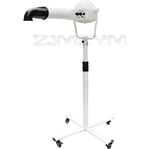2200W Advanced Professional Pet animal Dryer Dog Cat negative ion vertical Wall-mounted hair dryer Pet grooming machine