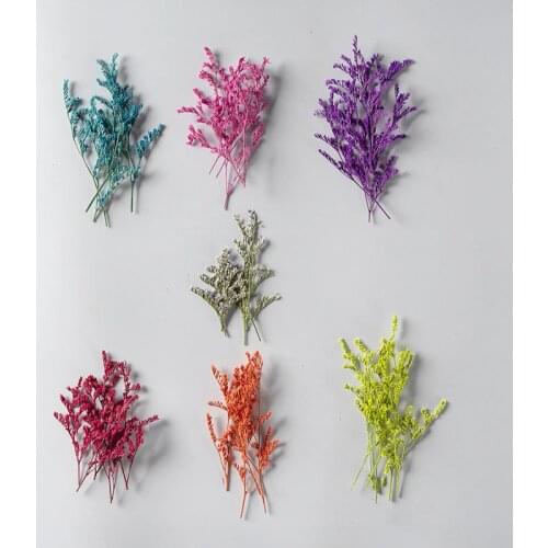 60pcs Pressed Dried Flower Codariocalyx motorius Herbarium Epoxy Resin Lamp Nail Art Jewelry Bookmark Phone Case Card DIY