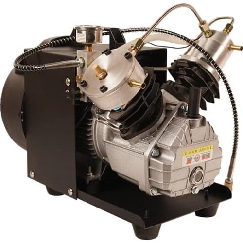 Air Compressor 4500Psi Dual Cylinder PCP Compressor High Pressure Pump for Air Gun Filling Tank 110V 220V