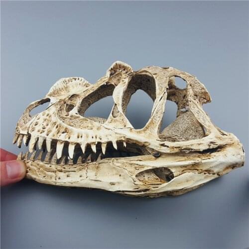 MRZOOT MRZOOT Dinosaur Skull Skeleton Model Specimen Animal Home Decoration Accessories Personalized Statue Sculpture